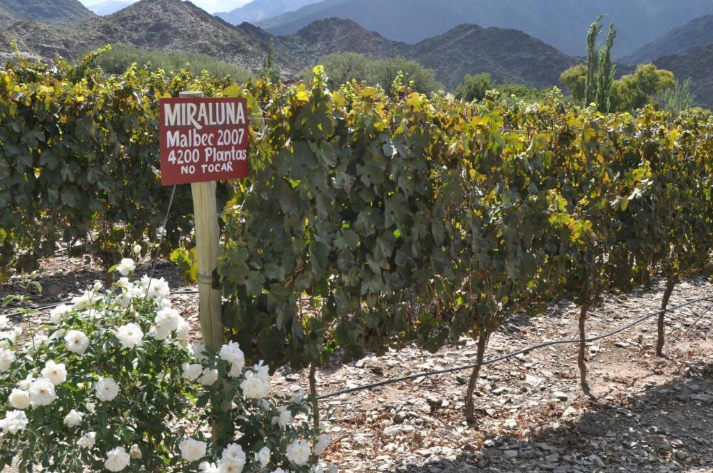 Miraluna Bodega Boutique Cachi Exterior photo