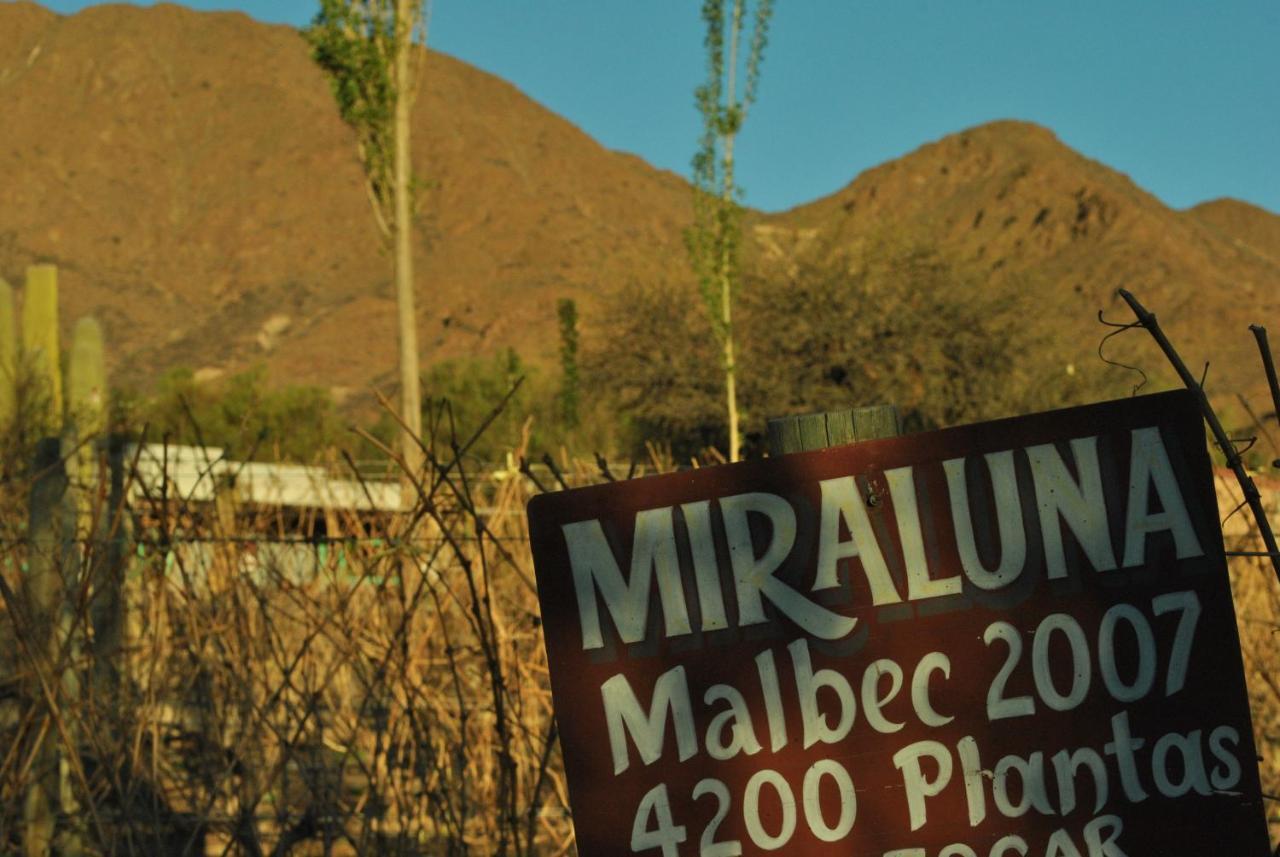 Miraluna Bodega Boutique Cachi Exterior photo